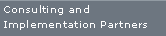 Consulting and Implementation Partners