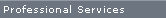 Professional Services